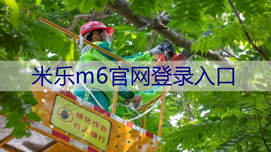 绿化工程报价清单制作流程