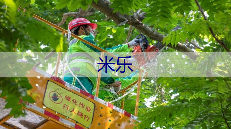 敞开式园林景观设计方案