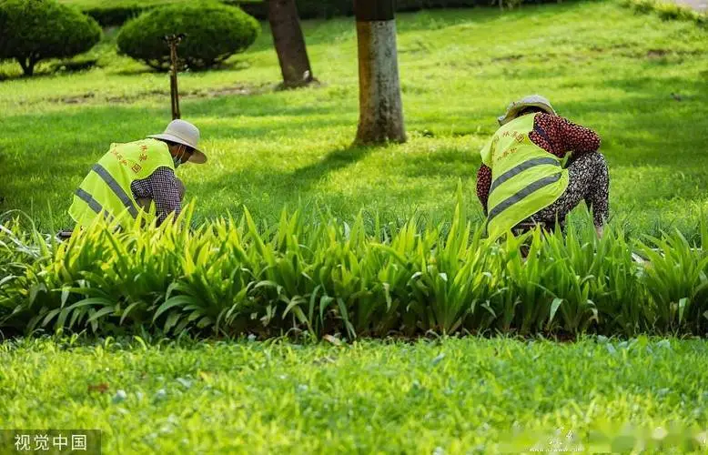 米乐m6官网登录入口：世纪园林绿化工程有限公司