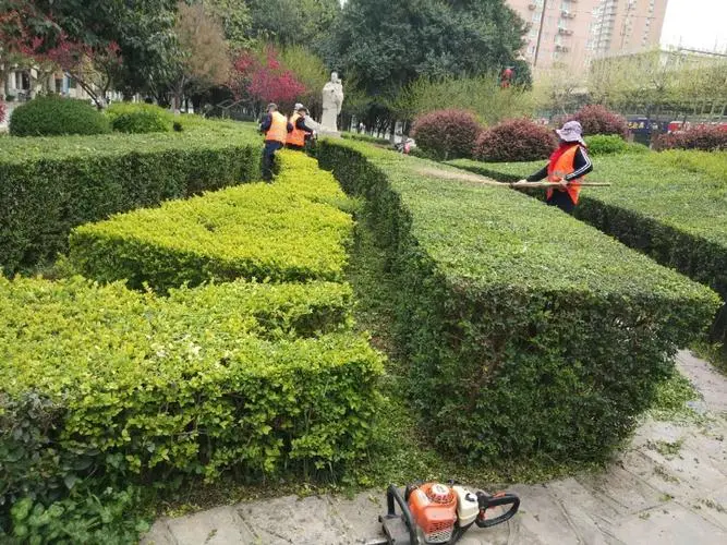 聊城高铁站绿化工程