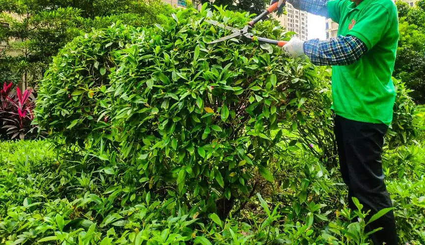 米乐：招展启动！第二十一届CLG上海园林展向心而行！