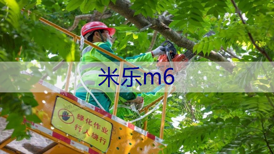 米乐m6官网登录入口：家庭园林景观设计绿植