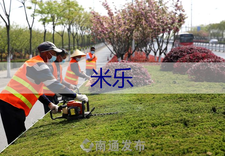 园林管理问题牵动民心，政府承诺加强整治！